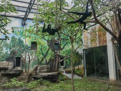 -天津市动物园