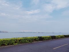 -海鸥岛