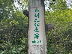 -剑门关风景区