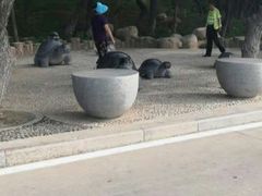 -老虎石海上公园