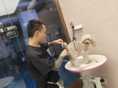 -FAELING PETS美天灵宠物(富力广场店)