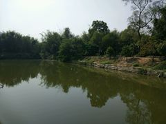 -邹记·美食(斗门店)