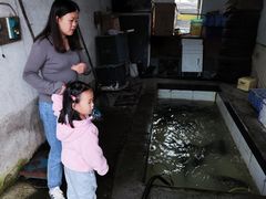 -庆岭迎宾园正宗活鱼馆