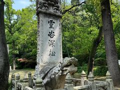-灵谷景区