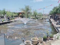 -同銮特种养殖场·龙虾垂钓