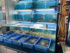 水产区-老东镇啤酒屋海鲜加工·蒸汽海鲜·海鲜烧烤(台东店)