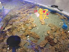 -澜悦港海鲜体验主题餐厅