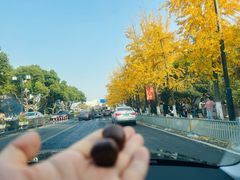 -阿男野栗王(金门路店)