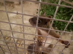 -百里峡七彩艺术小镇