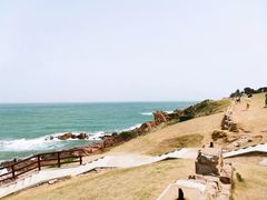 -小麦岛公园