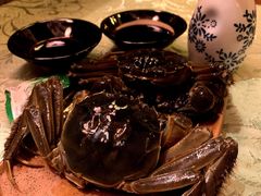 -小酒肆·老茶馆
