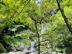-石台牯牛降景区