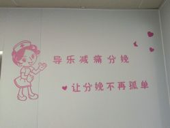 -上海市嘉定区妇幼保健院