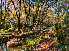 -上海共青森林公园