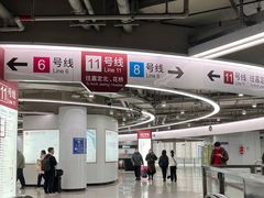 -东方体育中心(地铁站)