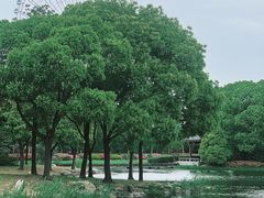 -蠡湖大桥公园