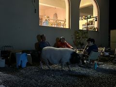 -小时光咖啡馆(开森度假森林店)