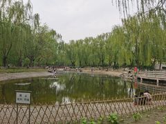 -丰台科技园生态主题公园
