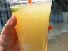 青柠乳酸菌-许小树(国贸商城店)