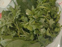 -草原传奇鲜羊火锅(桥北店)