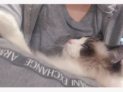 -中农国际动物医院24小时·猫科·骨科·急重症中心