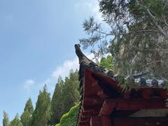 -开元溶洞