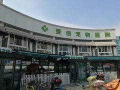 -爱侣宠医·鹦鹉专科·小型哺乳类·异宠专科(灵石路店)