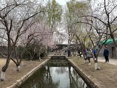 -春风习习