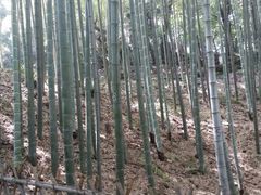 景点-杭州黄龙洞