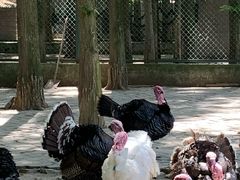 -南京金牛湖风景区