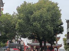 -涵家味土菜馆·徽州一绝臭鳜鱼(三河古镇店)