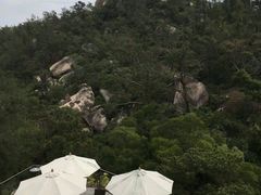 -厦门园林植物园-植物园滴水山房