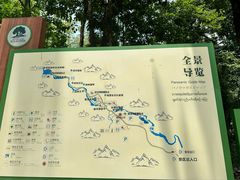 -莫里热带雨林景区