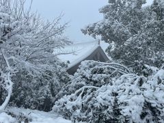 -杭州半山国家森林公园