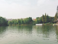 -荆川公园