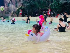 -杭州开元森泊度假乐园