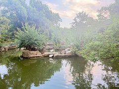 -东湖落雁景区