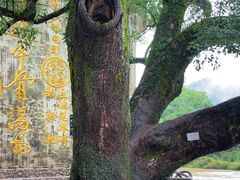 -上坦村