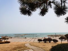 -日照灯塔风景区