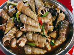 -海大南门夜市(海富街店)