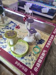 -多奇妙儿童乐园(昆山吾悦店)