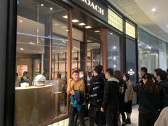 -COACH蔻驰(恒隆广场店)