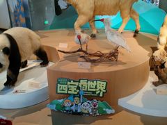 -陕西自然博物馆