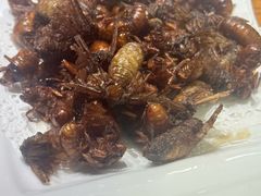 -滨海小渔村·海肠捞饭·鲅鱼水饺·特色老火鱼丸汤(华田店)