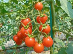 -会稽山峡洞漂流-上青古道