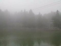 -玉苍山国家森林公园