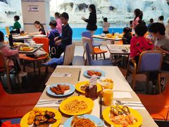 -帝企鹅自助餐厅•儿童岛•真企鹅(长隆企鹅酒店)