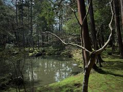 -西芳寺(苔寺)