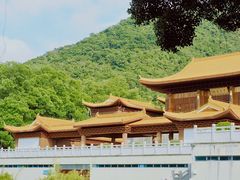 -深圳仙湖植物园