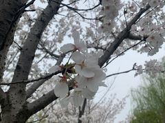 -澹台湖公园